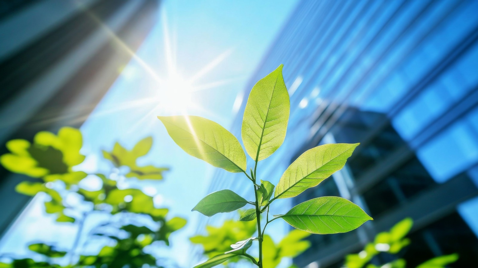 Sustainability & Innovation
